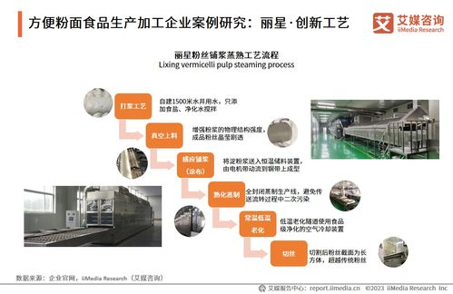 2023-2024年中國方便粉面食品行業(yè)技術(shù)發(fā)展趨勢(shì)與市場(chǎng)前景研究報(bào)告